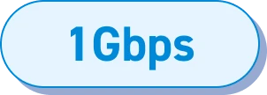 1Gbps