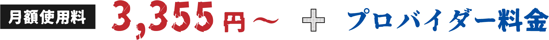 月額使用料3,355円〜+プロバイダー料金
